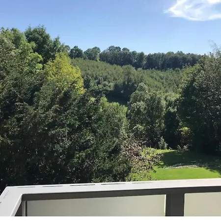Apartment Duplex Avec Superbe Vue Boisee
