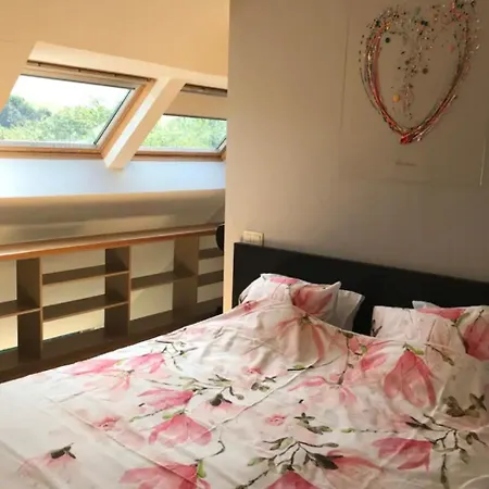 Duplex Avec Superbe Vue Boisee Esneux