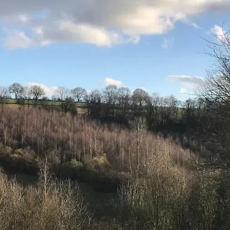 Duplex Avec Superbe Vue Boisee * Esneux