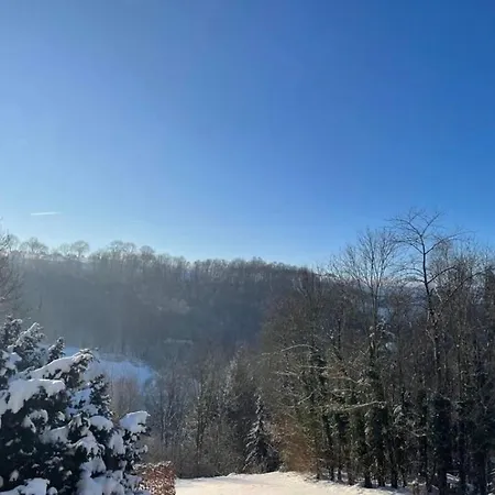 Apartment Duplex Avec Superbe Vue Boisee *