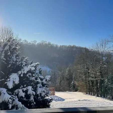 Duplex Avec Superbe Vue Boisee Lägenhet *